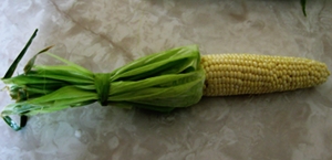 Grilling Corn on the Cob with Handle